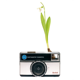 Photosynthesis No 27 - Kodak Instamatic 155X x Galanthus nivalis - SQU